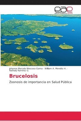 bokomslag Brucelosis