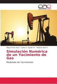 bokomslag Simulación Numérica de un Yacimiento de Gas