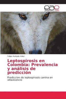 bokomslag Leptospirosis en Colombia