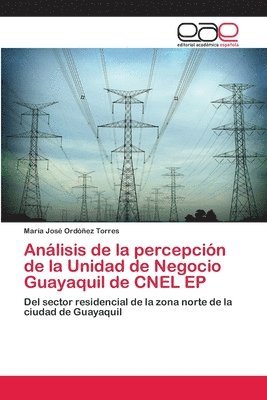 bokomslag Anlisis de la percepcin de la Unidad de Negocio Guayaquil de CNEL EP