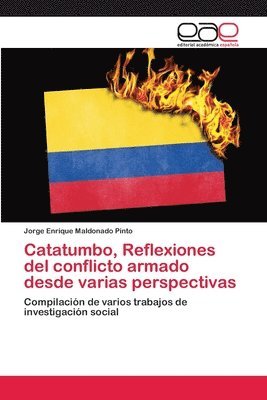 Catatumbo, Reflexiones del conflicto armado desde varias perspectivas 1