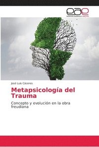 bokomslag Metapsicologa del Trauma