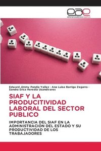 bokomslag Siaf Y La Producitividad Laboral del Sector Publico