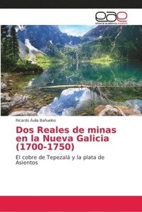bokomslag Dos Reales de minas en la Nueva Galicia (1700-1750)