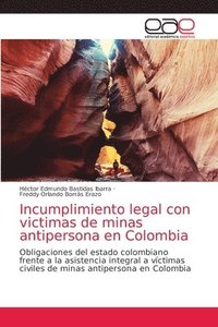bokomslag Incumplimiento legal con victimas de minas antipersona en Colombia