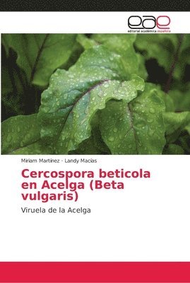 Cercospora beticola en Acelga (Beta vulgaris) 1