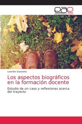 bokomslag Los aspectos biogrficos en la formacin docente