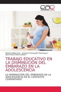 bokomslag Trabajo Educativo En La Disminucin del Embarazo En La Adolescencia