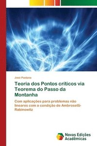 bokomslag Teoria dos Pontos crticos via Teorema do Passo da Montanha