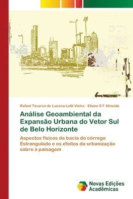 Anlise Geoambiental da Expanso Urbana do Vetor Sul de Belo Horizonte 1
