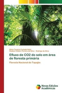 bokomslag Efluxo de CO2 do solo em rea de floresta primria