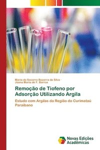 bokomslag Remoo de Tiofeno por Adsoro Utilizando Argila