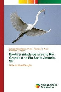 bokomslag Biodiversidade de aves no Rio Grande e no Rio Santo Antnio, SP