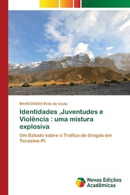 bokomslag Identidades, Juventudes e Violencia