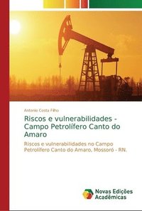 bokomslag Riscos e vulnerabilidades - Campo Petrolifero Canto do Amaro
