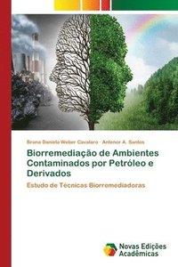 bokomslag Biorremediao de Ambientes Contaminados por Petrleo e Derivados