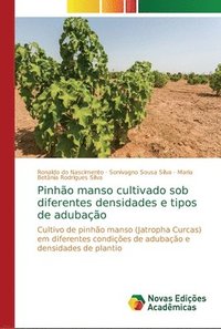 bokomslag Pinho manso cultivado sob diferentes densidades e tipos de adubao