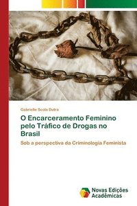 bokomslag O Encarceramento Feminino pelo Trfico de Drogas no Brasil