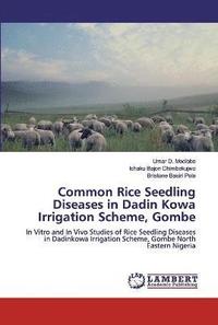 bokomslag Common Rice Seedling Diseases in Dadin Kowa Irrigation Scheme, Gombe