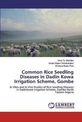 Common Rice Seedling Diseases in Dadin Kowa Irrigation Scheme, Gombe 1