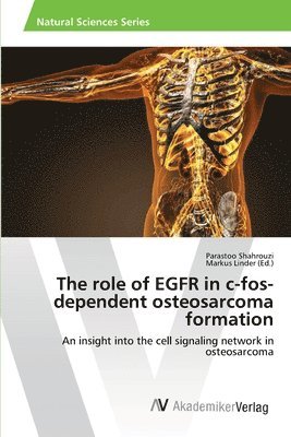 bokomslag The role of EGFR in c-fos-dependent osteosarcoma formation