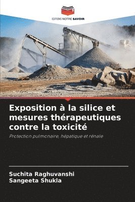 Suchita Raghuvanshi, Sangeeta Shukla - Exposition à la silice et mesures thérapeutiques contre la toxicité, Häftad