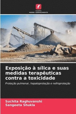 Exposição à sílica e suas medidas terapêuticas contra a toxicidade