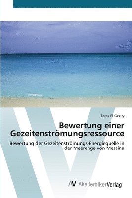 bokomslag Bewertung einer Gezeitenstrmungsressource