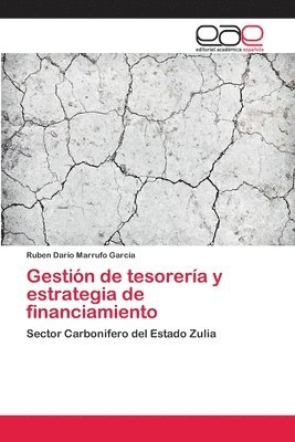 bokomslag Gestin de tesorera y estrategia de financiamiento