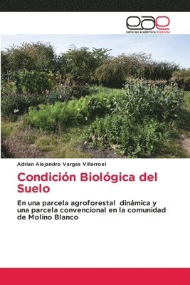 Condicin Biolgica del Suelo 1