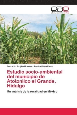 bokomslag Estudio socio-ambiental del municipio de Atotonilco el Grande, Hidalgo