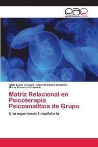 bokomslag Matriz Relacional en Psicoterapia Psicoanaltica de Grupo