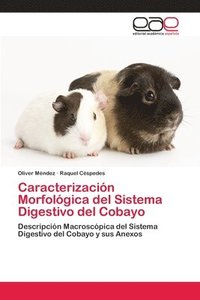 bokomslag Caracterizacin Morfolgica del Sistema Digestivo del Cobayo