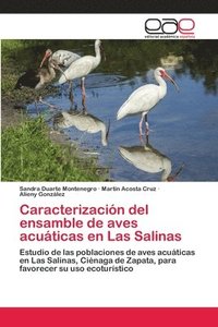 bokomslag Caracterizacin del ensamble de aves acuticas en Las Salinas