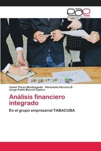 bokomslag Anlisis financiero integrado