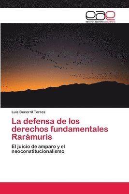 bokomslag La defensa de los derechos fundamentales Rarmuris