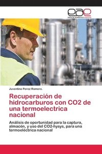 bokomslag Recuperacin de hidrocarburos con CO2 de una termoelectrica nacional