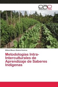bokomslag Metodologias Intra-Interculturales de Aprendizaje de Saberes Indigenas
