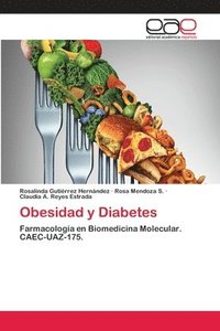 bokomslag Obesidad y Diabetes