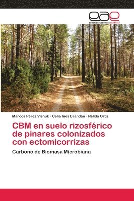 CBM en suelo rizosfrico de pinares colonizados con ectomicorrizas 1