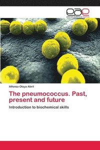 bokomslag The pneumococcus. Past, present and future