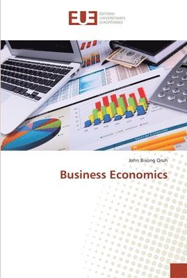 bokomslag Business Economics