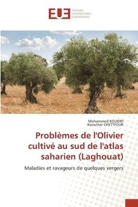 bokomslag Problèmes de l'Olivier cultivé au sud de l'atlas saharien (Laghouat)