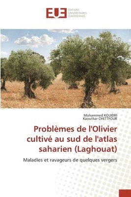 Problèmes de l'Olivier cultivé au sud de l'atlas saharien (Laghouat)