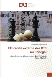 bokomslag Efficacite externe des BTS au Senegal