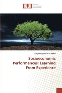 bokomslag Socioeconomic Performances