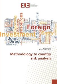 bokomslag Methodology to country risk analysis