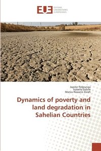 bokomslag Dynamics of poverty and land degradation in Sahelian Countries