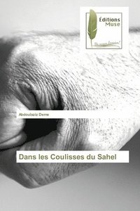 bokomslag Dans les Coulisses du Sahel