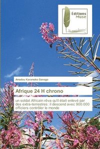 bokomslag Afrique 24 H chrono